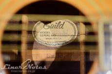 Guild 1978 D-55 NT (Natural)_10