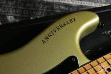 Fender 25th Anniversary Stratocaster MN 1979_5