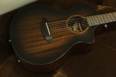 Breedlove ★セール対象品★Wildwood Pro Series Companion Suede CE African Mahogany 【アウトレット特価品】