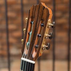 Echizen Guitars Jazz Nylon Lutz Spruce / Ziricote_9