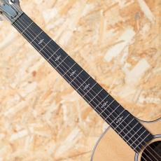 Taylor Next Generation 414ce_6