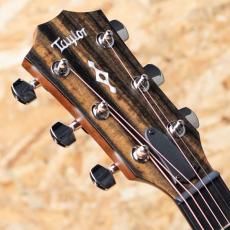 Taylor Next Generation 414ce_8