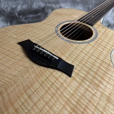 Taylor EG-224ce Urban Ash【Taylor×島村楽器】 【現物画像】【最大36回分割無金利 実施中】_3