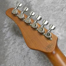 SCHECTER SD-2-24-AL-VTR-FM/RM_10