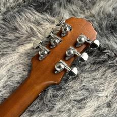 Epiphone G-400 Worn Brown_9