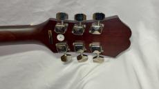 Epiphone DR-90T_9