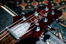 Paul Reed Smith [PRS] Custom24 20th Anniversary 10Top / 2006_4