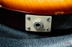 Paul Reed Smith [PRS] Custom24 20th Anniversary 10Top / 2006_8