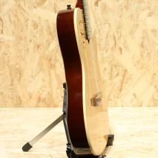 Godin Multiac Nylon Duet Ambiance 2015_4
