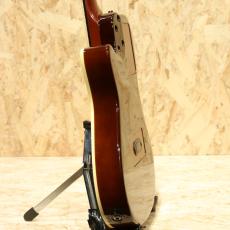 Godin Multiac Nylon Duet Ambiance 2015_5