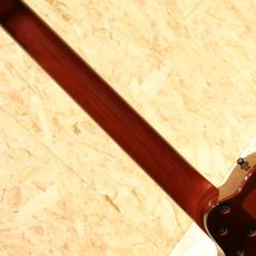 Godin Multiac Nylon Duet Ambiance 2015_7