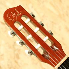 Godin Multiac Nylon Duet Ambiance 2015_8
