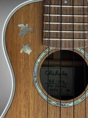 Chihale Works 6S-WA_7