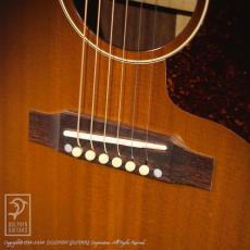 Gibson 1964 J-160E_11