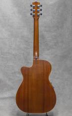 Maton EBG808CTE Tommy Emmanuel Signature / 2020's_4