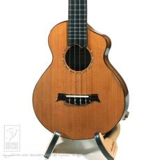 Tatsuro Furubayashi ZC-01UK【60回無金利対象品】