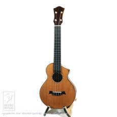 Tatsuro Furubayashi ZC-01UK【60回無金利対象品】_2