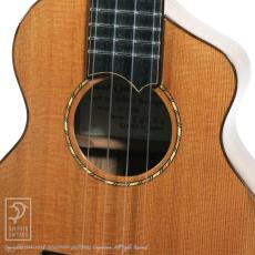 Tatsuro Furubayashi ZC-01UK【60回無金利対象品】_11