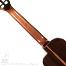 TODA Guitars VT-CW (ALL Hawaiian Milo)_6