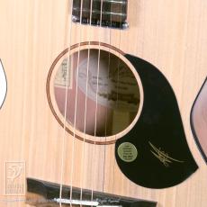 Maton EM6 (Mini Maton)_13