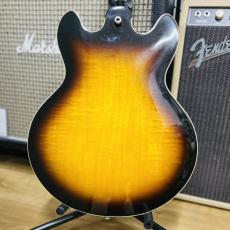 Gibson ES-339_9