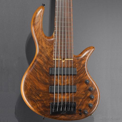 elrick Gold Series E-volution 6 -34"Scale/Crotched Walnut Top-【4.58kg】【アウトレット】