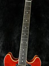 Aria Pro II TA-TONIC -ALB(Almond Burst)-【美品中古品】【日本製】【3.24kg】_6