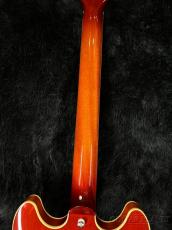 Aria Pro II TA-TONIC -ALB(Almond Burst)-【美品中古品】【日本製】【3.24kg】_7