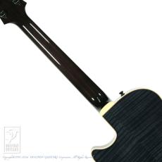 Kikuchi Guitars MF15S TBK_6