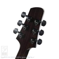 Kikuchi Guitars MF15S TBK_8