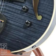 Kikuchi Guitars MF15S TBK_10