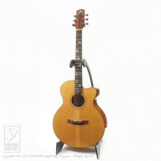 Joe Striebel RS Cutaway Birds Inlay (Jacaranda)【デモ動画掲載】_2