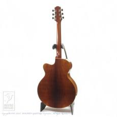 Joe Striebel RS Cutaway Birds Inlay (Jacaranda)【デモ動画掲載】_4
