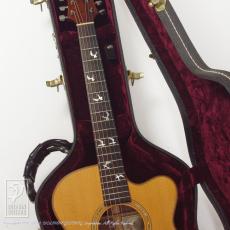 Joe Striebel RS Cutaway Birds Inlay (Jacaranda)【デモ動画掲載】_8