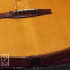 Joe Striebel RS Cutaway Birds Inlay (Jacaranda)【デモ動画掲載】_13