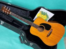 Martin D-21 ROSEWOOD
