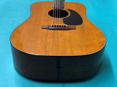 Martin D-21 ROSEWOOD_11