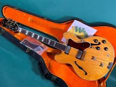 Epiphone E212T SHERATON