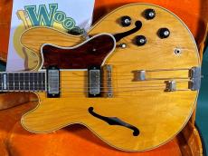 Epiphone E212T SHERATON_2
