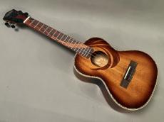 TODO MUSIC UTD-W100T Tenor_2