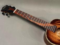 TODO MUSIC UTD-W100T Tenor_5