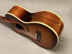 TODO MUSIC UTD-W100T Tenor_7