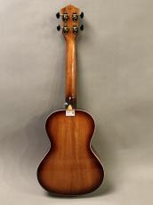 TODO MUSIC UTD-W100T Tenor_10