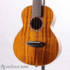 aNueNue aNN-AAA2E_2