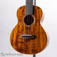 aNueNue aNN-AAA2_2