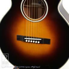 Switch SL-3 Bee (Vintage Sunburst)_12