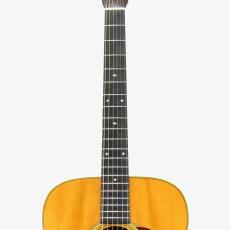 Shenandoah by C.F.Martin MHD-28_6