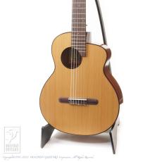 aNueNue aNN-MN14E (Nylon Strings)