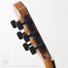 aNueNue aNN-MN14E (Nylon Strings)_7