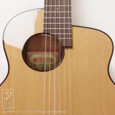 aNueNue aNN-MN14E (Nylon Strings)_9